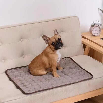 Small dog sitting on FrostyFur Pet Mat on a beige sofa, showing pet cooling mat for comfort and relaxation.