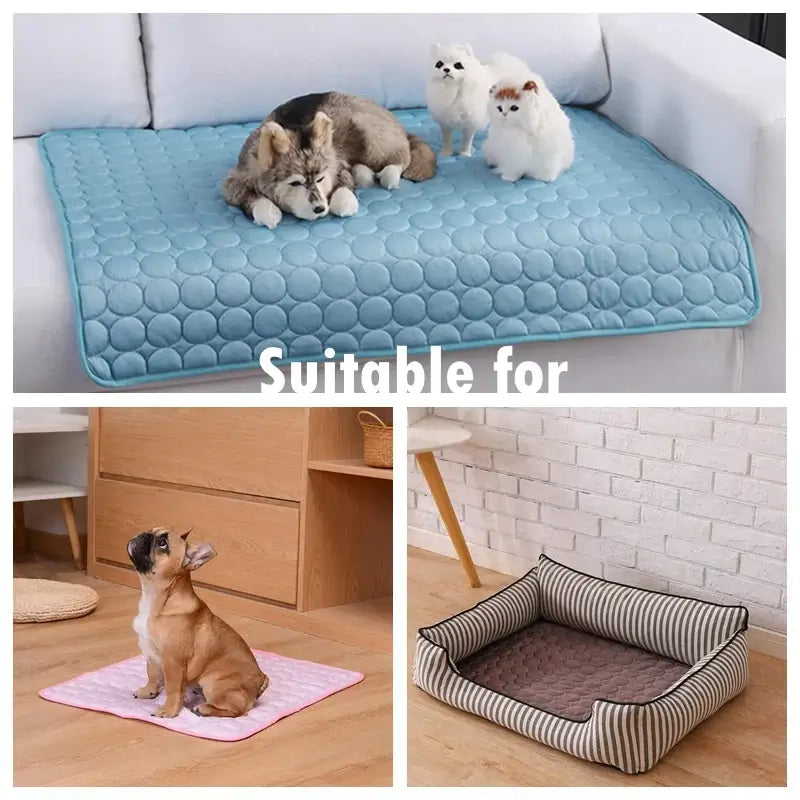 Dogs and cats enjoying the FrostyFur Pet Mat in blue, pink, and striped bed configurations perfect for cooling pets on hot days