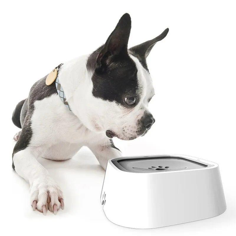 Dog Drinking Water Bowl - DigitalDealHeaven DigitalDealHeaven